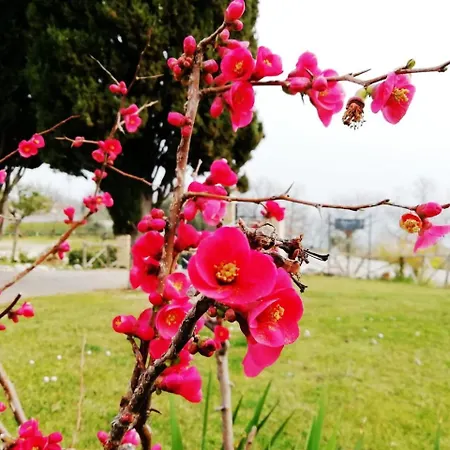Farm stay La Castelletta